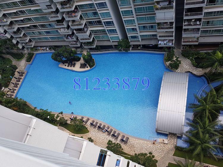 Caspian (D22), Condominium #158478172